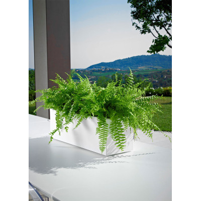 KUBE MINI CASSETTA cm. 50x18x18 h BIANCO
