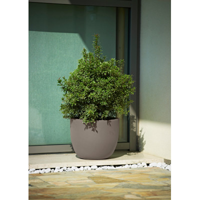 ETRIA UNO TORTORA