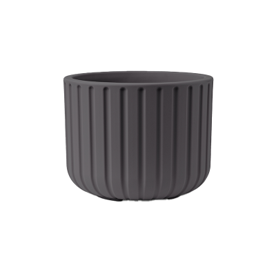 ECHO BASALT