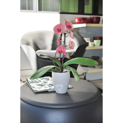 MARBELLA PALYFUL-HEART cm. 13,5x16 h WHITE