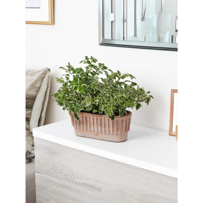 TAORMINA cm. 33x13x13 h GALESTRO