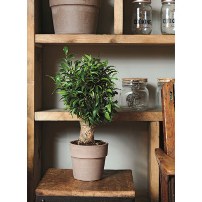 VASO PERFETTO GRAPHITE
