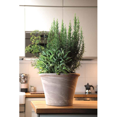 VASUM DUO GRAPHITE WHITE-STRIPED