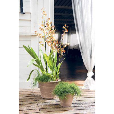 VASUM DUO GRAPHITE WHITE-STRIPED