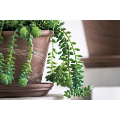 VASUM DUO GRAPHITE WHITE-STRIPED