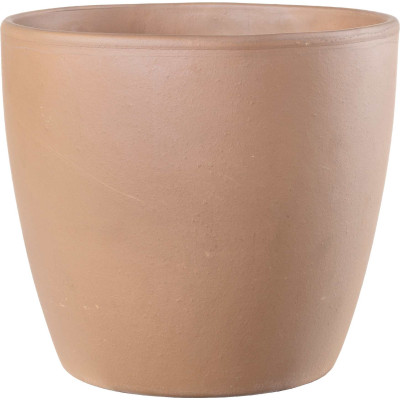 VASO EGG WHITE