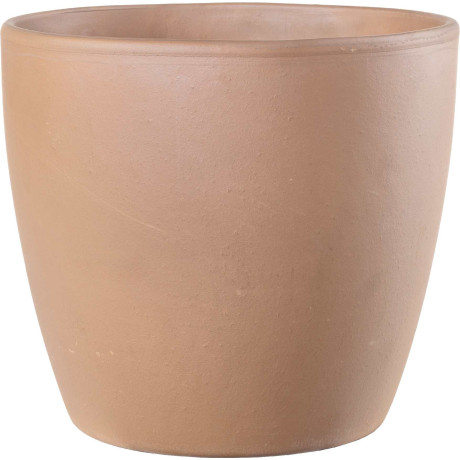 VASO EGG WHITE