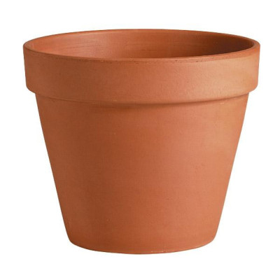 VASO STANDARD