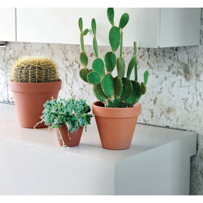 VASO STANDARD
