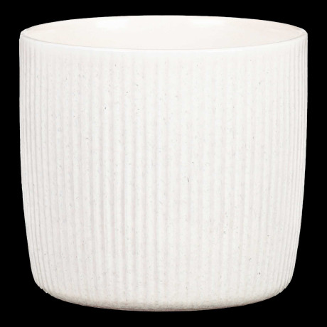 SOLIDO LINEA PERLA
