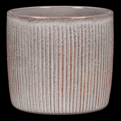 SOLIDO LINEA SEASHELL