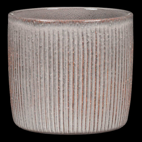 SOLIDO LINEA SEASHELL