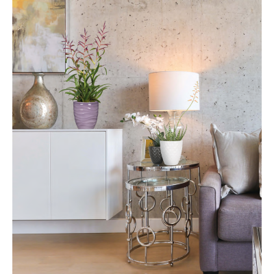 BREEZE ORCHIDEA cm. 15 GLASS LILAC