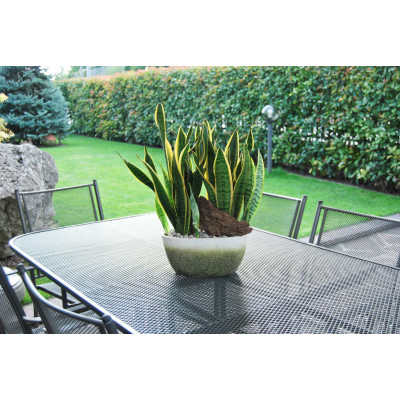 CASSETTA FLOWER cm. 29,5x14x14 h VERDE