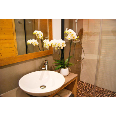 BOB ORCH. WEISS MATT/BIANCO MATT