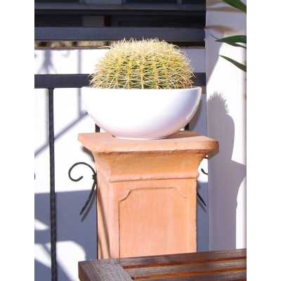 CIOTOLA TONIC WEISS GLZ/BIANCO LUCIDO