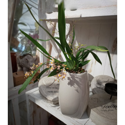 VASO ALTO CUTY cm. 12x20 h GREY