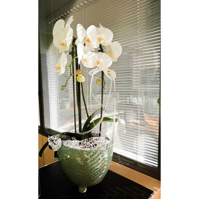 CITY WF BOWL cm. 18,5x15,5 h GREEN