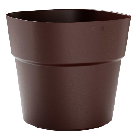 ANDROMEDA VASO BOURGOGNE