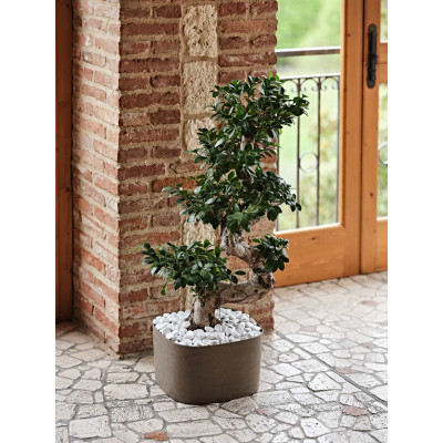 CIOTOLA RODI CON RISERVA cm. 37x37x21 h FOREST