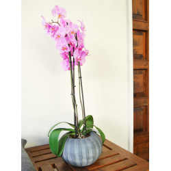 VASO ORCHIDEA VERTICAL cm. 23x13 h ANTHRACITE