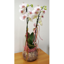 VASO ORCHIDEA LUXURY RUSTIC cm. 19x12 h PURPLE/GOLD