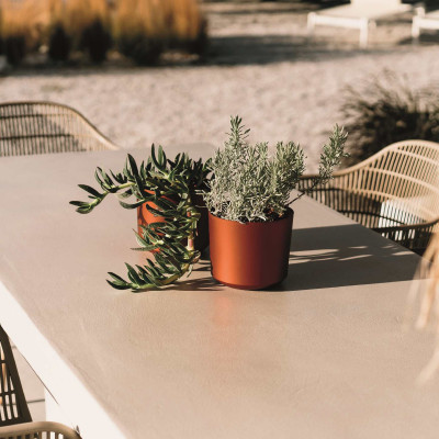 copy of copy of TUBO PINE GREEN