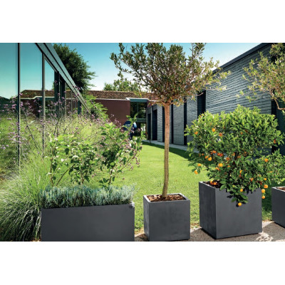 CASSETTA MILLENNIUM ANTHRACITE