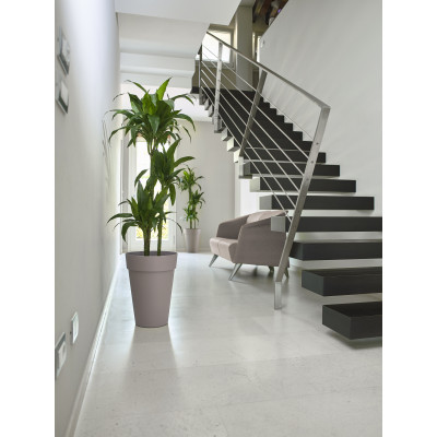 copy of LIKEN ANTRACITE