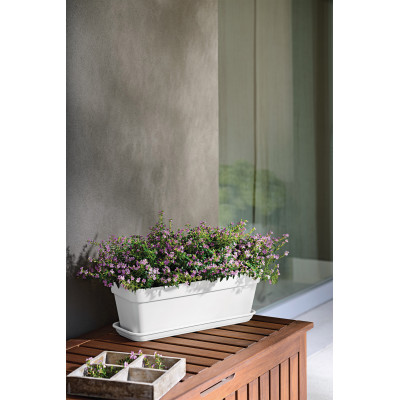 copy of copy of CASSETTINA MITU PAC cm. 50x18x16,5 h ANTRACITE