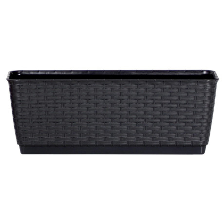 copy of copy of RATOLLA P WHITE