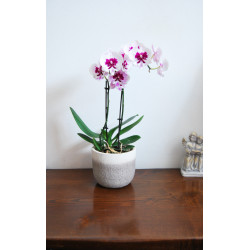 VASO FLOWER cm. 15x13 h GRIGIO