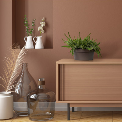 copy of copy of CIOTOLA ROK BIANCO