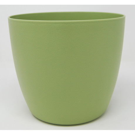 copy of copy of COPRIVASO IRIS BIANCO