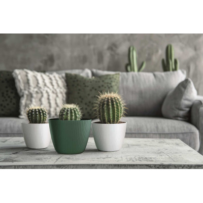 copy of LAMIA ROUND WHITE