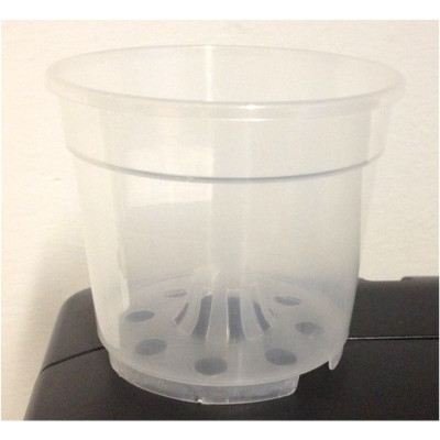 CONTAINER ORCHIDEE TRASPARENTE