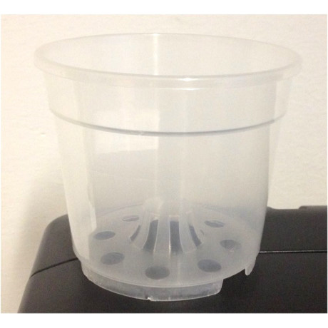 CONTAINER ORCHIDEE TRASPARENTE