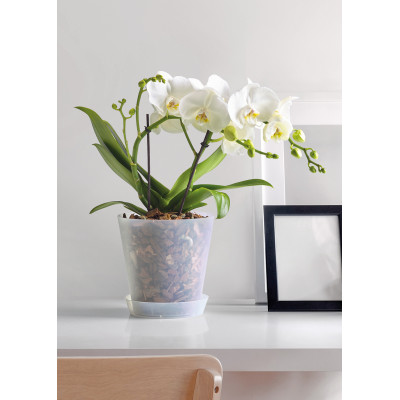 CLIVO SATIN CON FORI NEUTRO