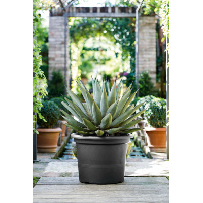 copy of VASO GEO TERRACOTTA