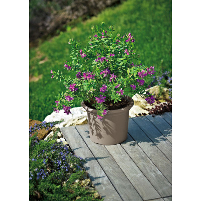 copy of copy of VASO GEO TERRACOTTA