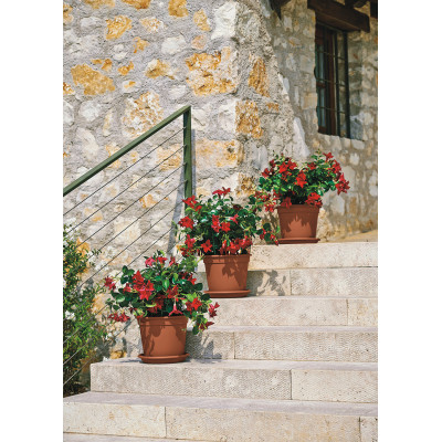 VASO COCCIO TERRACOTTA