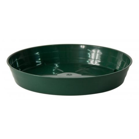 SOTTOVASO MOPLEN VERDE