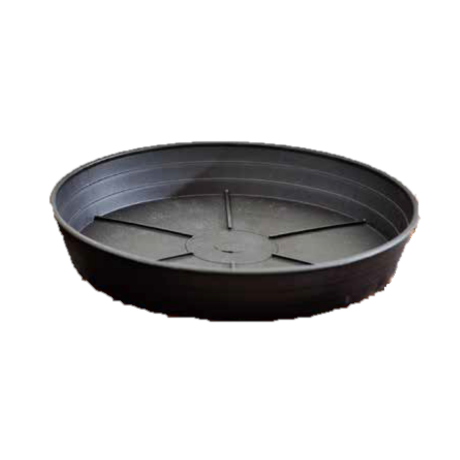 HIGH ROUND SAUCER ASH