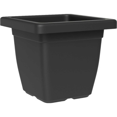 QUADRO NAZCA ASH/ANTRACITE