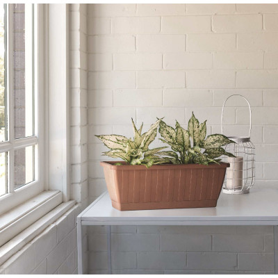 CASSETTA KEZAR GREENER CON SOTTOCASSETTA TERRACOTTA