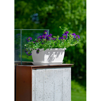 CASSETTA INIS BIANCO