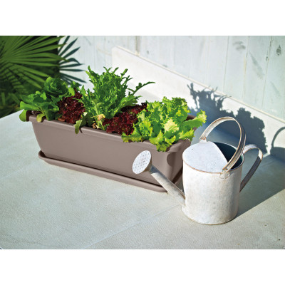 CASSETTA KALIS TORTORA