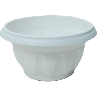 CIOTOLA SUPREMA CON SOTTOVASO BIANCO