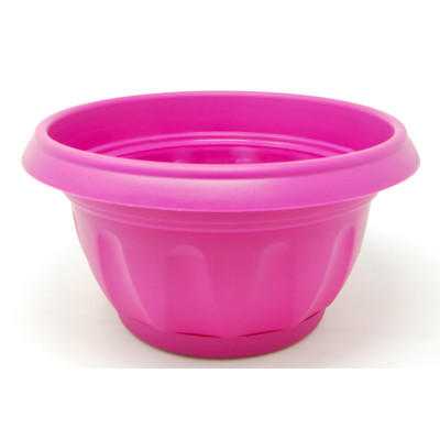 CIOTOLA SUPREMA CON SOTTOVASO FUCSIA