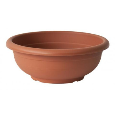 CIOTOLA OLIMPO TERRACOTTA